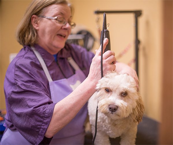 Pet Grooming in Carthage | Central Pet CareCentral Pet Care